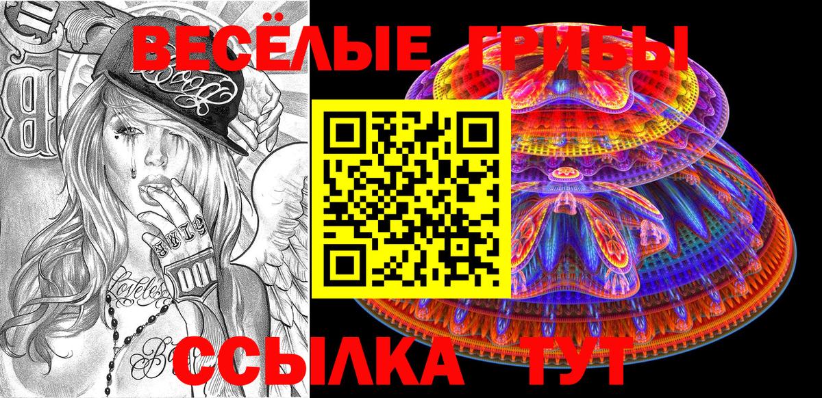 Галлюциногенные грибы MAGIC MUSHROOMS Курчатов